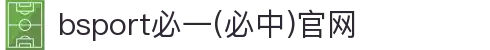 必一(运动科技有限公司)官方网站-B·Sport